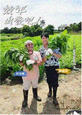 一起去露营 木木影院户外综艺